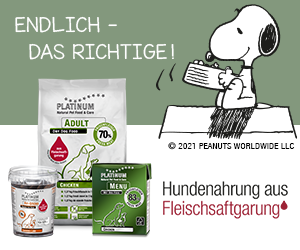 03-endlich-das-richtige-300x250