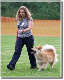 Obedience Grafik10